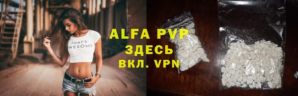 ГАЛЛЮЦИНОГЕННЫЕ ГРИБЫ Белокуриха