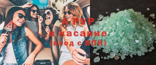ГАЛЛЮЦИНОГЕННЫЕ ГРИБЫ Белокуриха