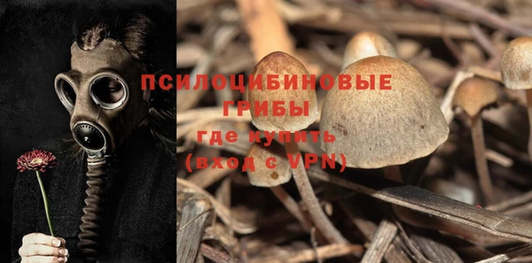 крисы Беломорск