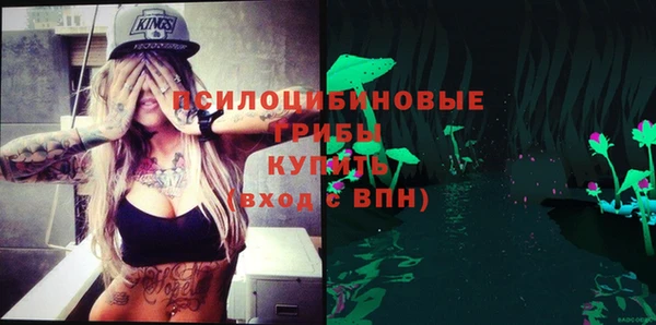 ГАЛЛЮЦИНОГЕННЫЕ ГРИБЫ Белокуриха