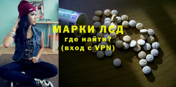 ГАЛЛЮЦИНОГЕННЫЕ ГРИБЫ Белокуриха